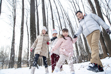 The snow play the joy of the family