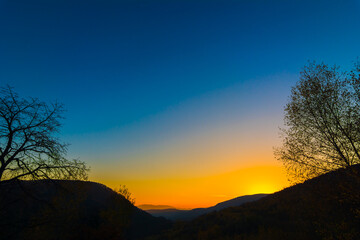 A very beautiful sunset. Blue and orange colors. Branches of a tree against the sky. Saturated color. Psilocybin. The look of a man who has perverted psilocybin mushrooms. Psilocybe semilanceata.
