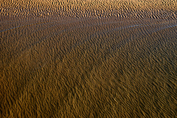 Aerial view of the shore