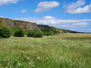 meadow alongside coastal cliffs in summer with blue sky and clouds