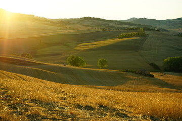First light of a summer sunrise shining on the sweet hills of Val d'Orcia, Tuscany, Italy