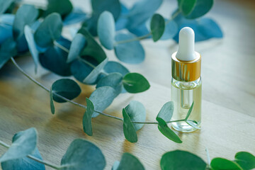 Eucalyptus oil in glass bottles. Cosmetics and aromatherapy based on eucalyptus essential oil © uladzimirzuyeu
