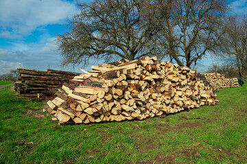 Brennholzstapel auf einer Wiese