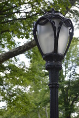 Central Park Street Light