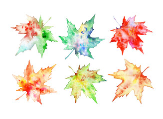 Set of autumn leaves isolated on a white background. A collection of multicolored leaves for design and creativity. Collection of colorful maple leaves. Watercolor illustration.