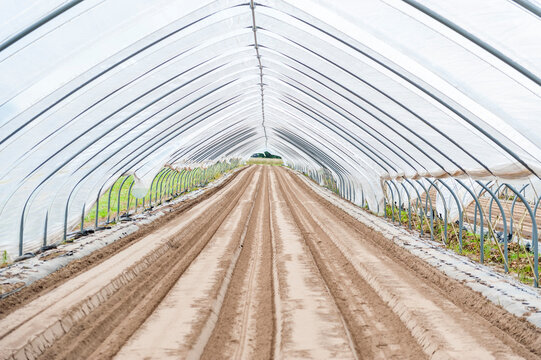Interior of empty greenhouse