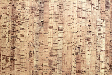 Cork texture, cork, wood, brown, natural