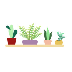 Set of houseplants like Crassula, Sansevieria, Pedilanthus and Cactus in Flat design style, vector stock illustration on white isolated background, concept of Home Decor, Window Gardening and Potted P