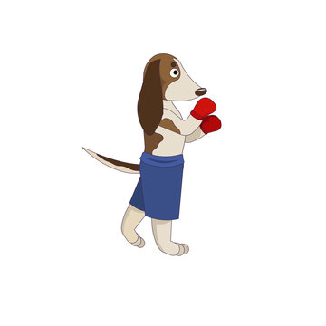 Doodle basset hound puppy as a boxer with red boxing gloves on white isolated background, vector stock illustration, concept of Dogs, Sport for Children, Cartoon Pets and Animals.