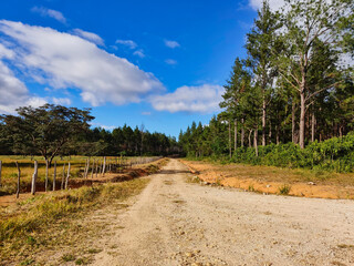 Paisaje De Montaña
