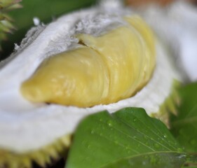 a fruit from Indonesia called sweet fresh durian with green leaves