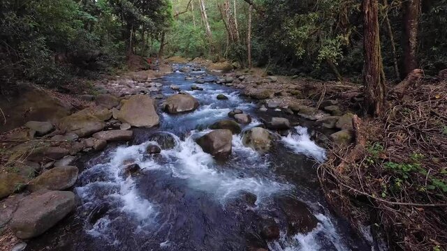 Savegre River, San Gerardo de Dota. Quetzales National Park, Costa Rica.