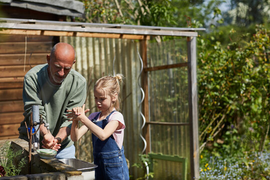 Grandfather and granddaughter washing hands in allotment garden