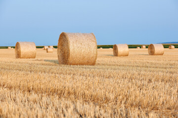 Fototapeta na wymiar bales of straw