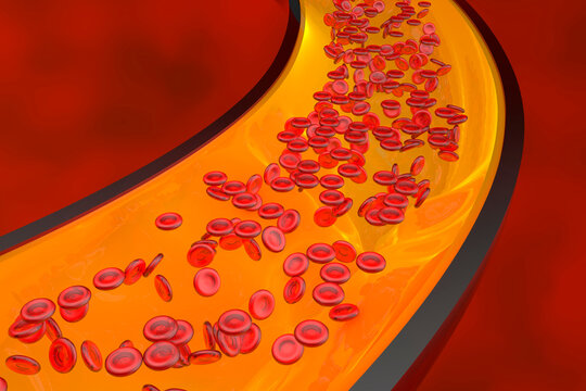 Three dimensional render of flowing red blood cells