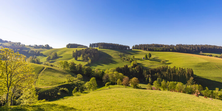 Germany, Baden-Wurttemberg, Sankt Peter, Clear sky over green landscape of Black Forest range in spring