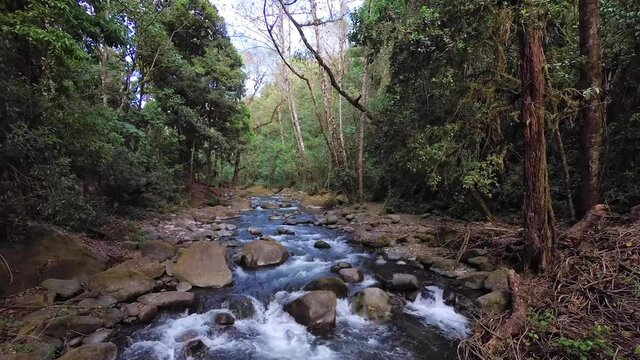 Savegre River, San Gerardo de Dota. Quetzales National Park, Costa Rica.