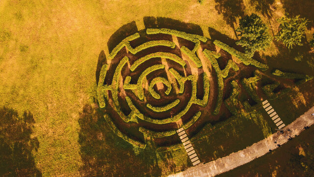 Over the Maze