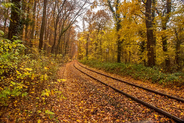 Train tracks in autumn with orange leaves photographed Cologne, Germany. Picture made in 2009.