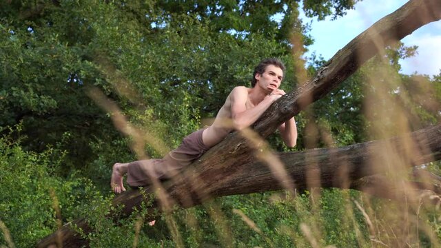 Shirtless man relaxing on fallen tree in forest