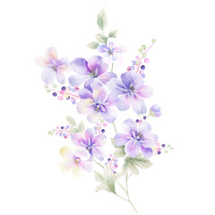 Fototapeta na wymiar high-quality set of various watercolor flowers 