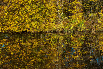 Park photographed in Cologne, Germany. Picture made in 2009.