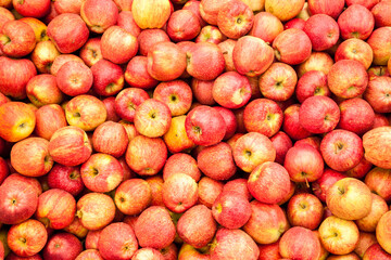 A  display of apples at a farm near Gervais, Oregon