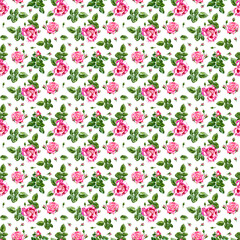 Seamless pattern with pink roses, green striped leaves, rosebuds, twigs. Highly detailed endless botanical illustration.