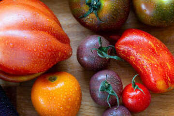 Tomaten Paradeiser Raritäten alte Sorten mit Radieschen auf einem Holzbrett 