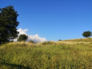 Un panorama montuoso. Una cartolina della penisola sorrentina catturata dal Monte Comune (Promontorio dei monti lattari). Da Vico Equense, Sorrento, Meta, Piano di Sorrento...Fieno ed erba