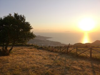 albero e Un panorama all'imbrunire. Una cartolina della penisola sorrentina catturata dal Monte...