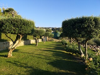 un fantastico giardino catturato da Massa Lubrense, in penisola sorrentina a pochi passi da Sorrento e Vico Equense.  © FraEs85