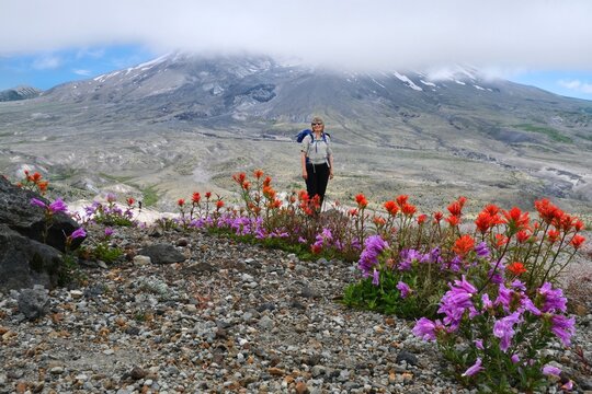 Woman hiker with backpack in front of volcano standing in wildflowers. St Heles. Washington state. United States of America