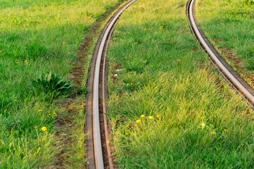 Train rails. Public transportation track covered by lawn. Modern
