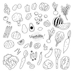 いろんな野菜の手描きイラストアイコン【線画】vegetables flat line illustration vector icon【white background】