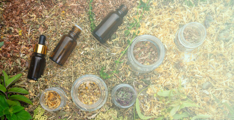 Bottles of tincture or oil and dry healthy healing herbs. Herbal medicine.
