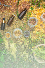 Fototapeta na wymiar Bottles of tincture or oil and dry healthy healing herbs. Herbal medicine.
