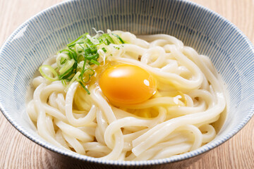 Japanese Ingredients.Cold Udon Noodles
