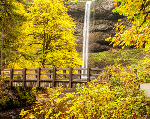 Bridge over Silver Creek and South Falls in Silver Falls state Park.  Maple trees are showing peak fall color.  Near Silverton, Oregon.