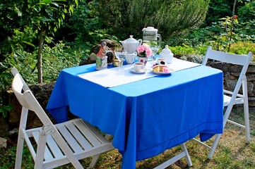 afternoon tea in the garden on the blue tablecloth