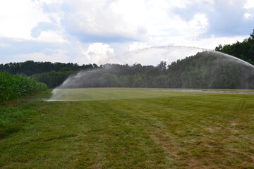irrigation spray