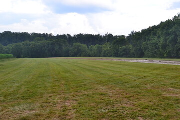 sod field