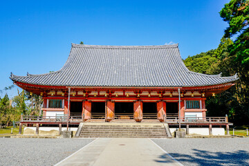 Fototapeta premium 京都 醍醐寺