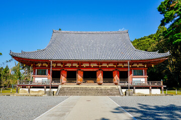 Fototapeta premium 京都 醍醐寺