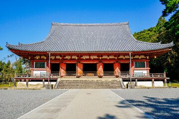 Fototapeta premium 京都 醍醐寺