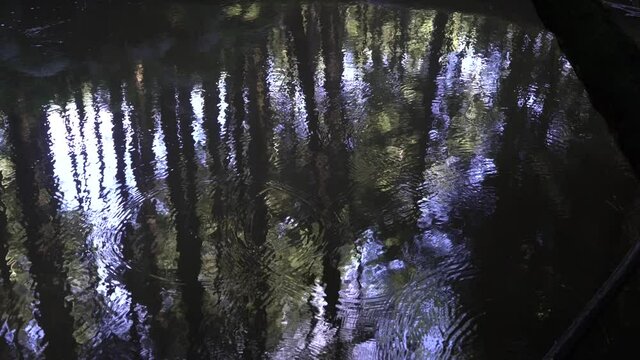Rain falling into river stream in forest making ripples