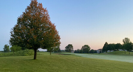 early foggy sunrise on golf course pond leaves changing color