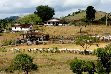 pau brasil, bahia / brazil - april 17, 2012: cattle corral is seen on a farm in the rural area of...