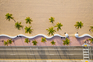 Aerial top view of Fort Lauderdale Beach walkway with palm trees, Florida