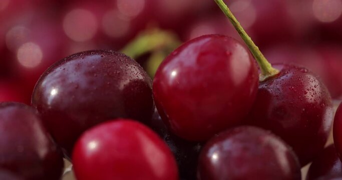 Macro shot of a cherry. Fresh, juicy, organic, natural, red cherries with dewdrops stand on a background of rotating cherries.